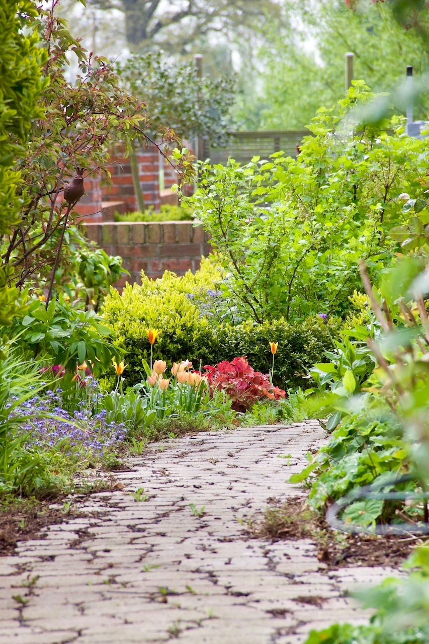 Garten-22-05-17.jpg