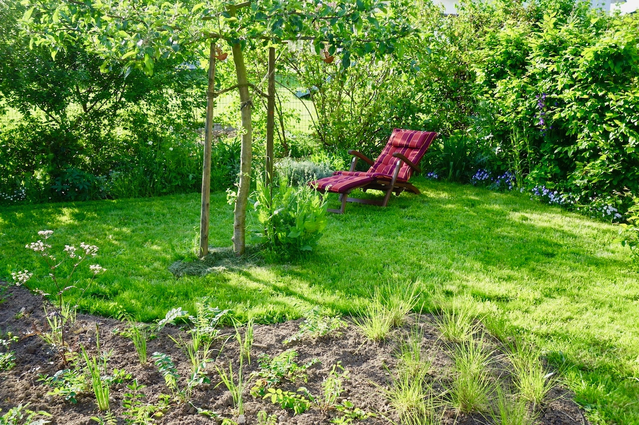 Garten-26-05-17.jpg