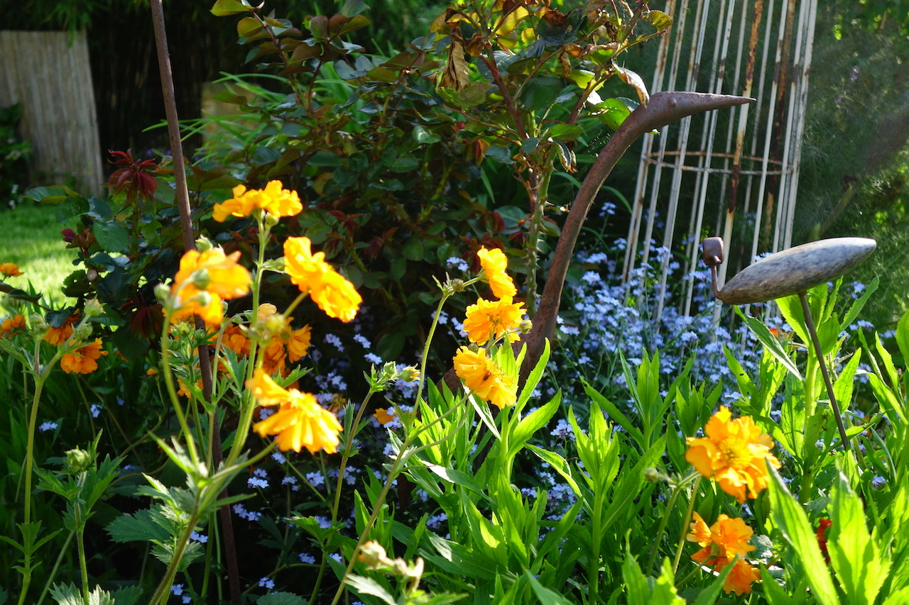 Garten-27-05-17.jpg