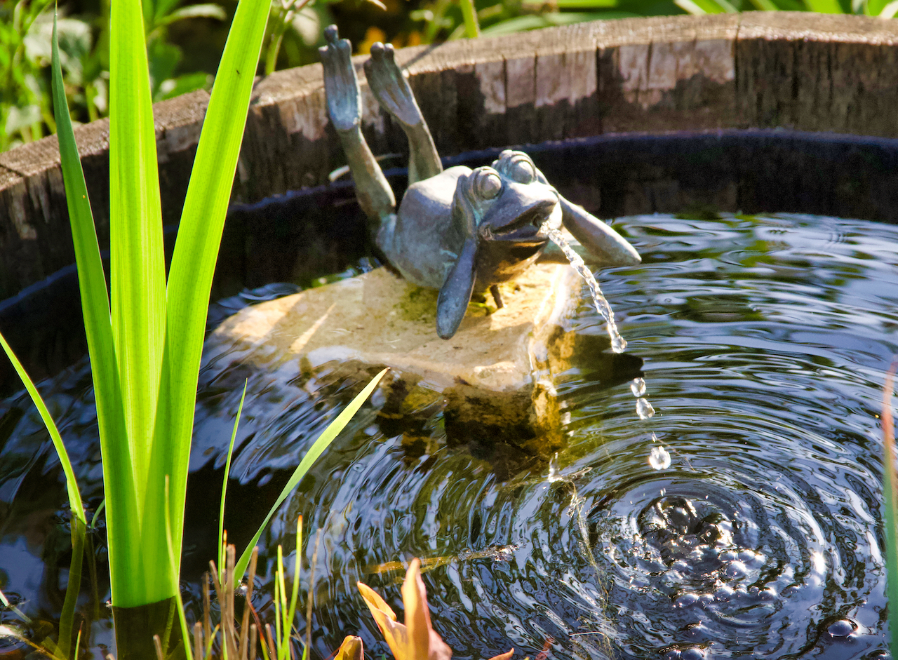 Garten-32-05-17.jpg