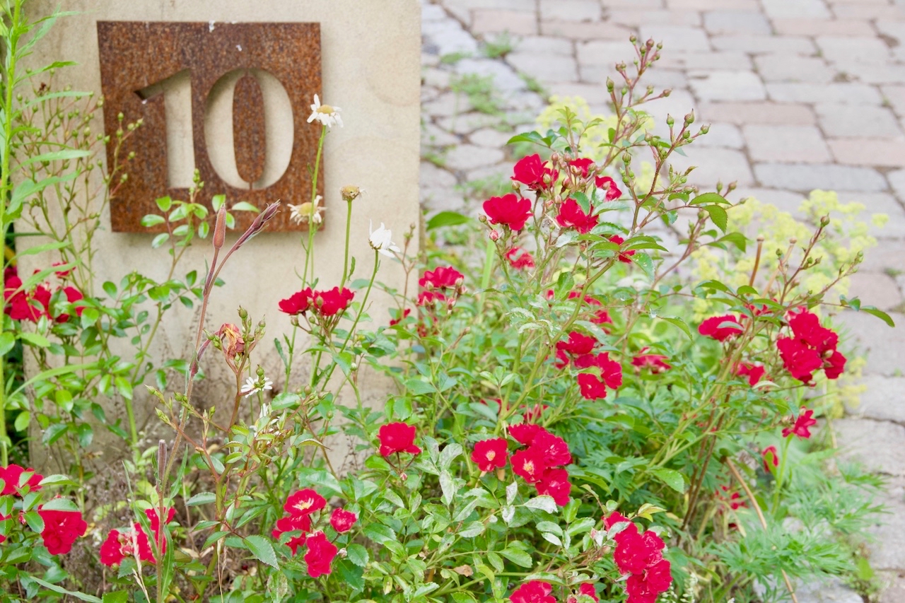 Garten-52-06-17.jpg