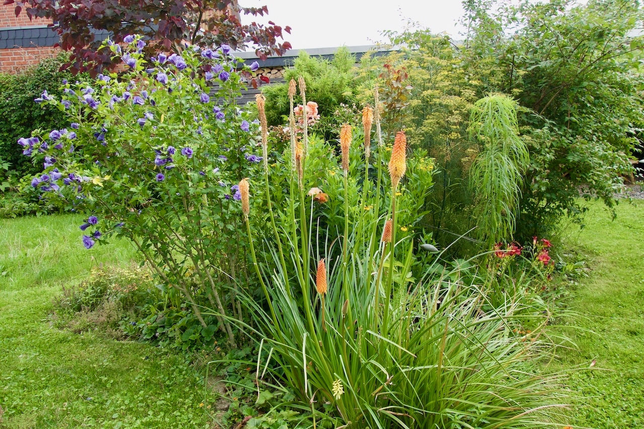 Garten-60-08-17.jpg