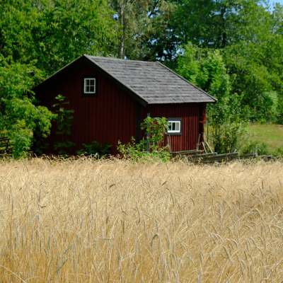 Urlaub-08.jpg