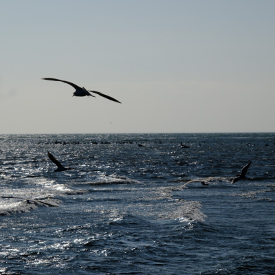 Urlaub-17.jpg